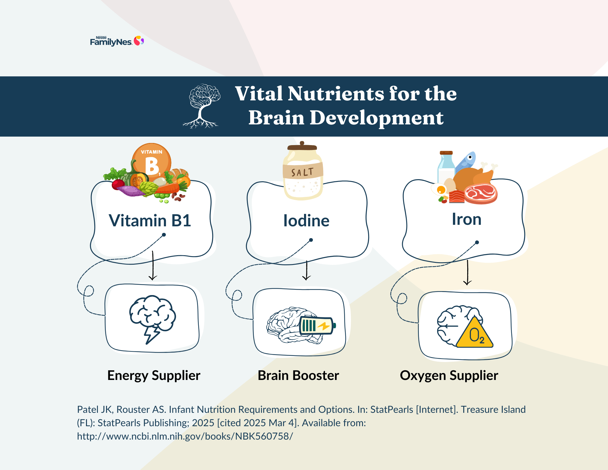 Body_Nourishing Young Brains- 20001545